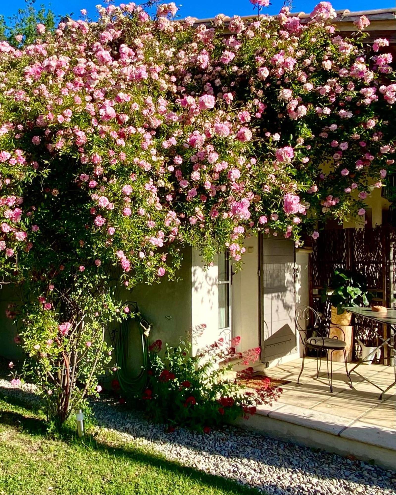 Le Jardin De Lau Villa Aubignan Exterior photo
