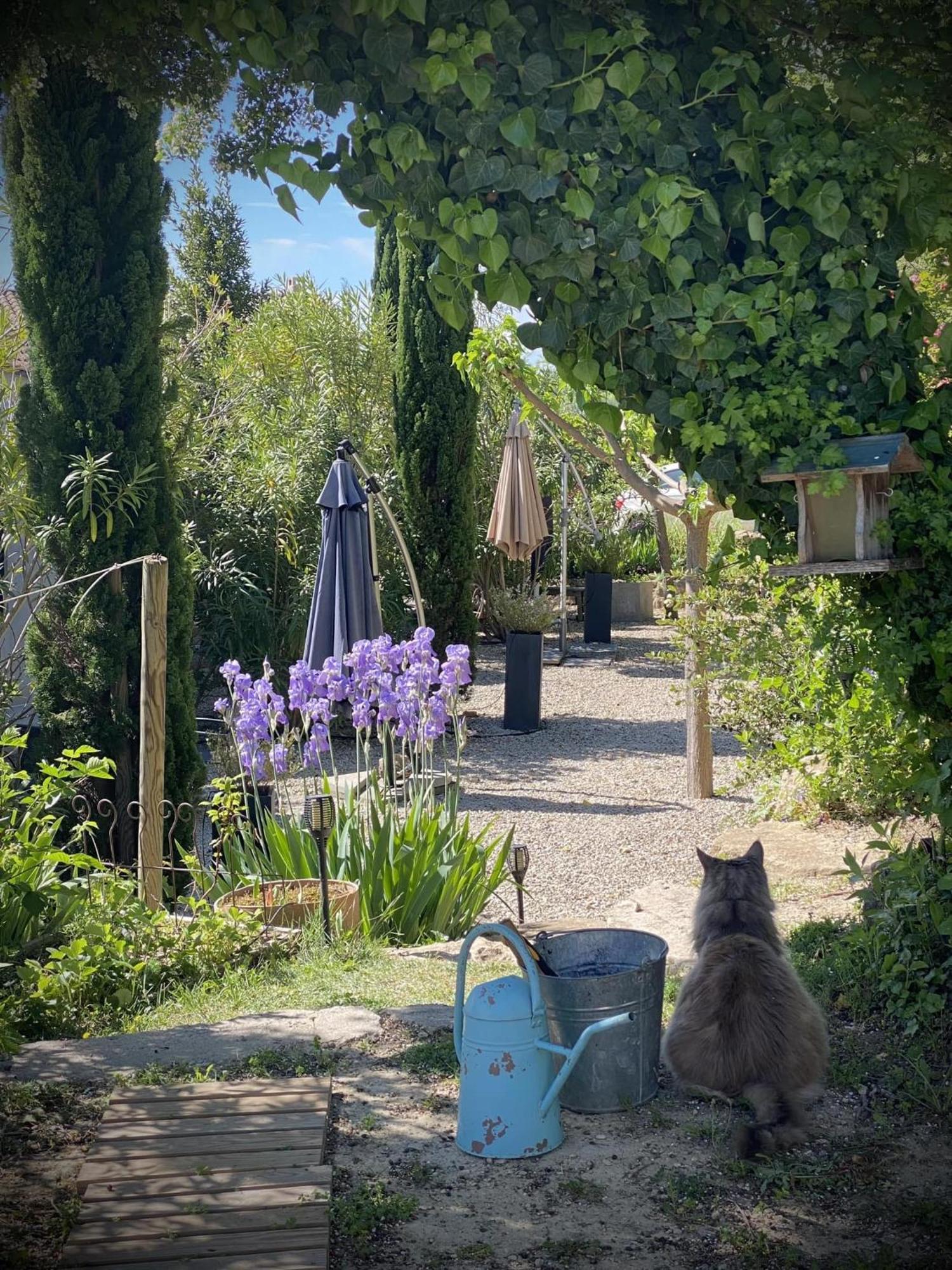 Le Jardin De Lau Villa Aubignan Exterior photo